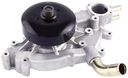 Bomba de Agua de Ray Camion 6.0